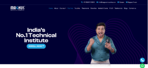 SEO Case Study: Magnus Institute of Technology